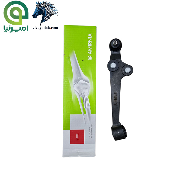 طبق چپ تیبا ساینا کوییک امیرنیا